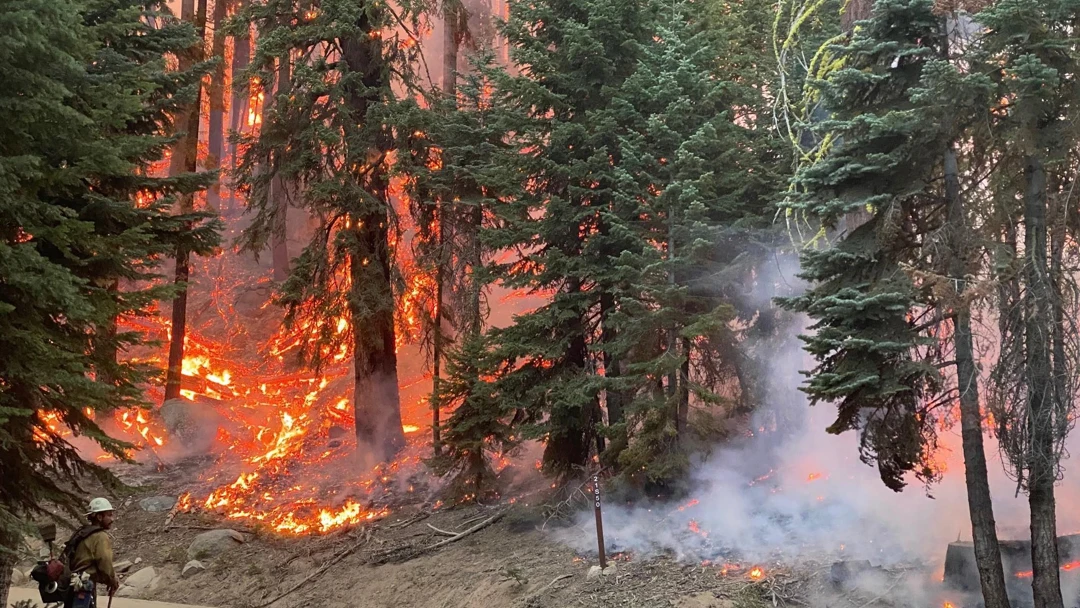 incendios forestales eeuu