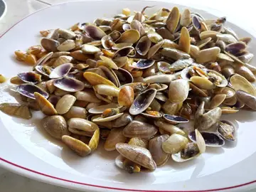 Un plato de coquinas Un plato de coquinas