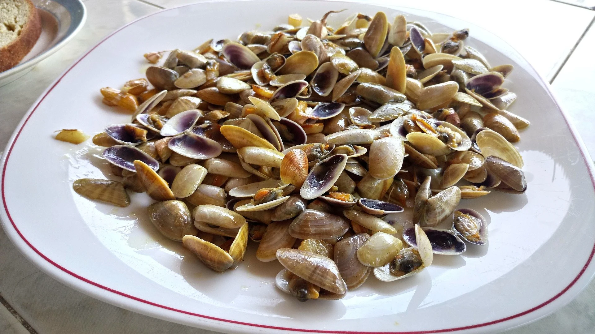 Un plato de coquinas