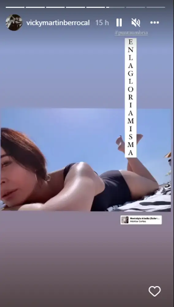 Vicky Martín Berrocal