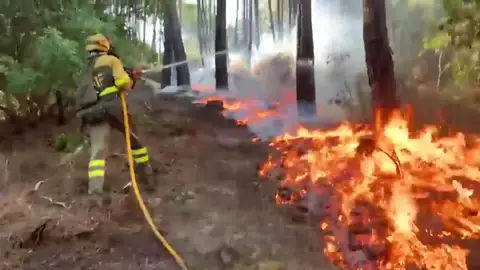 Incendio en Ávila Incendio en Ávila