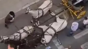 Otro caballo desplomado Otro caballo desplomado