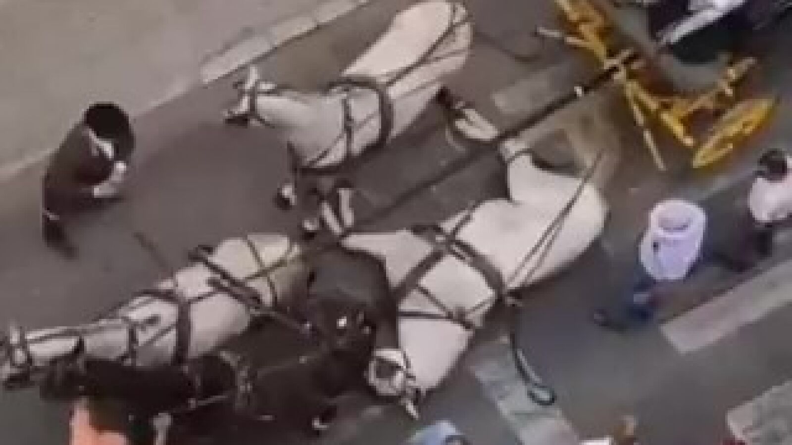 Un caballo se desploma en las calles de Málaga por las altas temperaturas: 