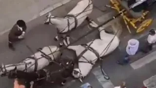 Otro caballo desplomado Otro caballo desplomado