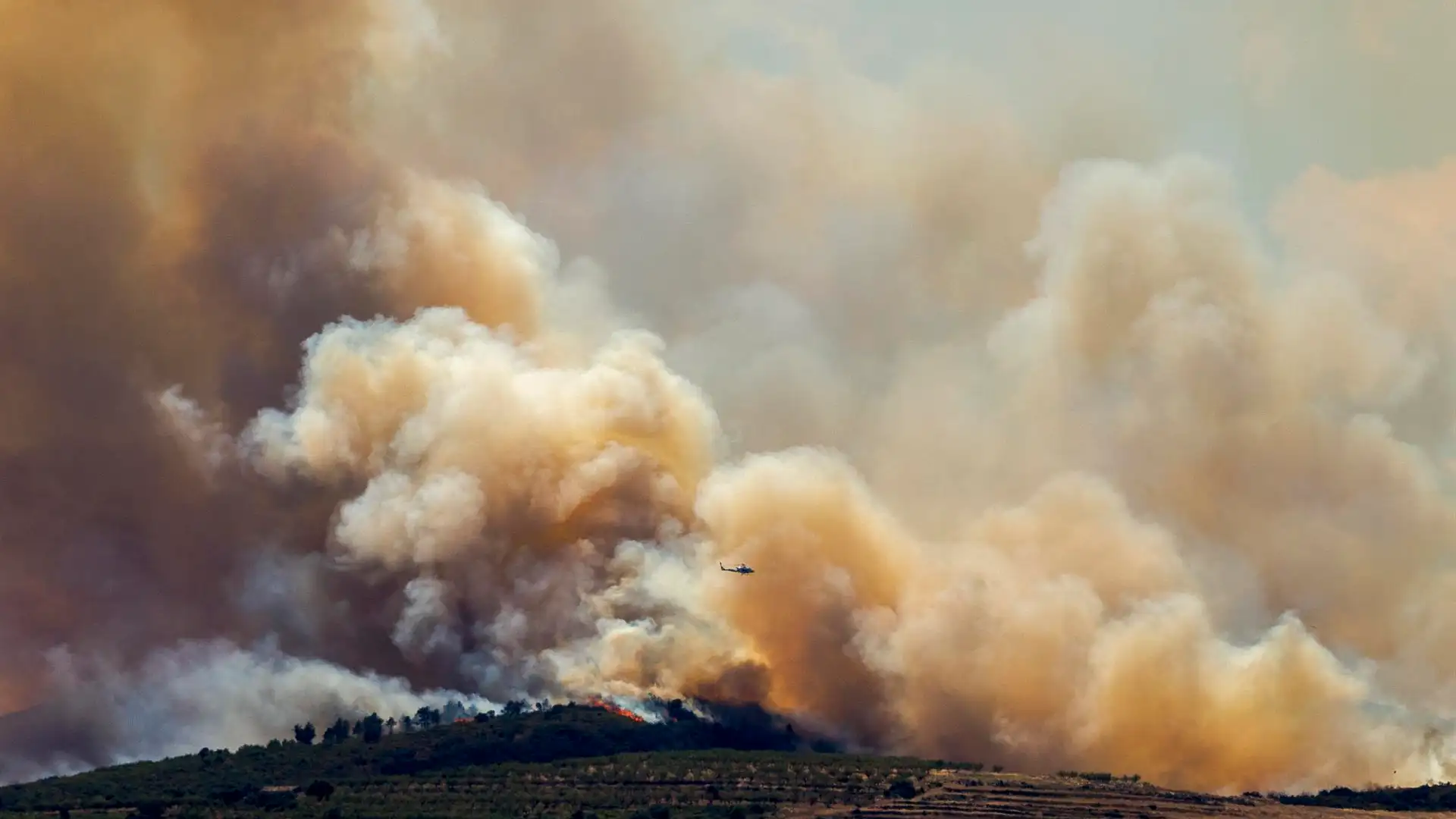 Incendio forestal Incendio forestal