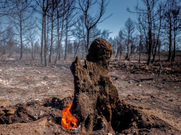 A3 Noticias Fin de Semana (21-08-22) El incendio Bejís entra en fase de estabilización tras arrasar 20.000 hectáreas