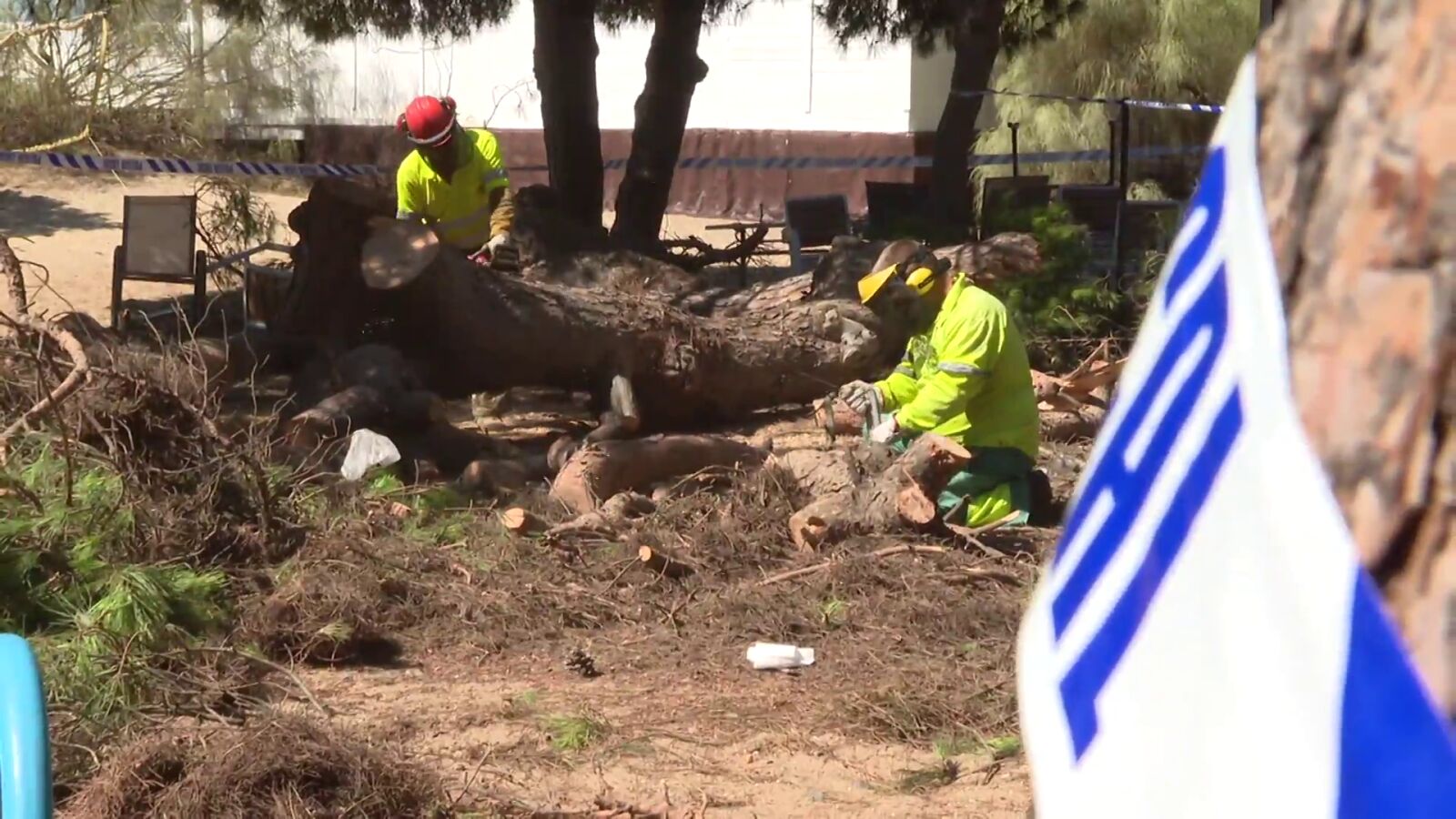 Seis heridos, uno de ellos grave, tras caerles encima un pino en una terraza de Huelva