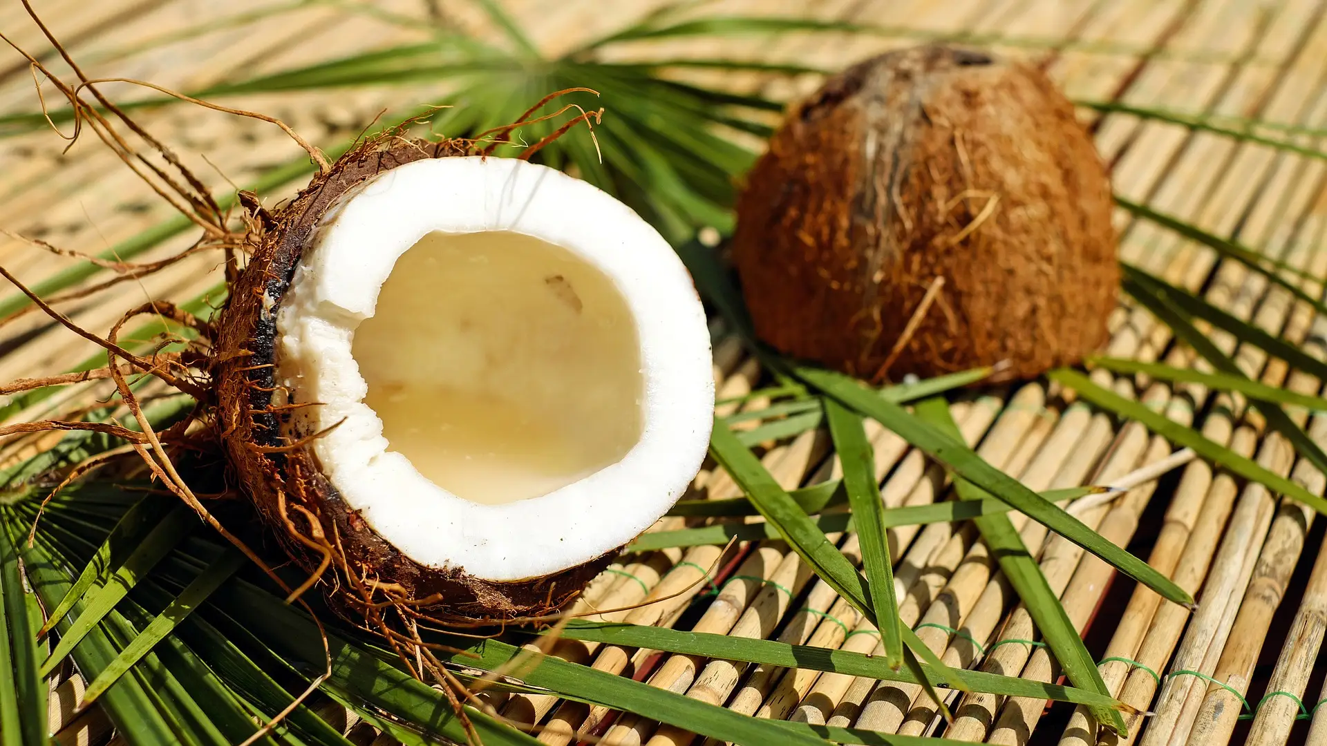 Un coco abierto Un coco abierto