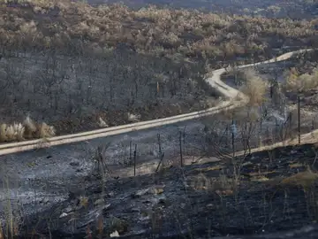 Zona arrasada por el incendio declarado en Casas de Miravete Zona arrasada por el incendio declarado en Casas de Miravete