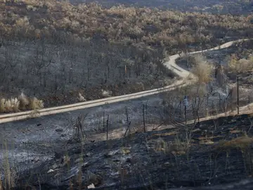 Zona arrasada por el incendio declarado en Casas de Miravete Zona arrasada por el incendio declarado en Casas de Miravete