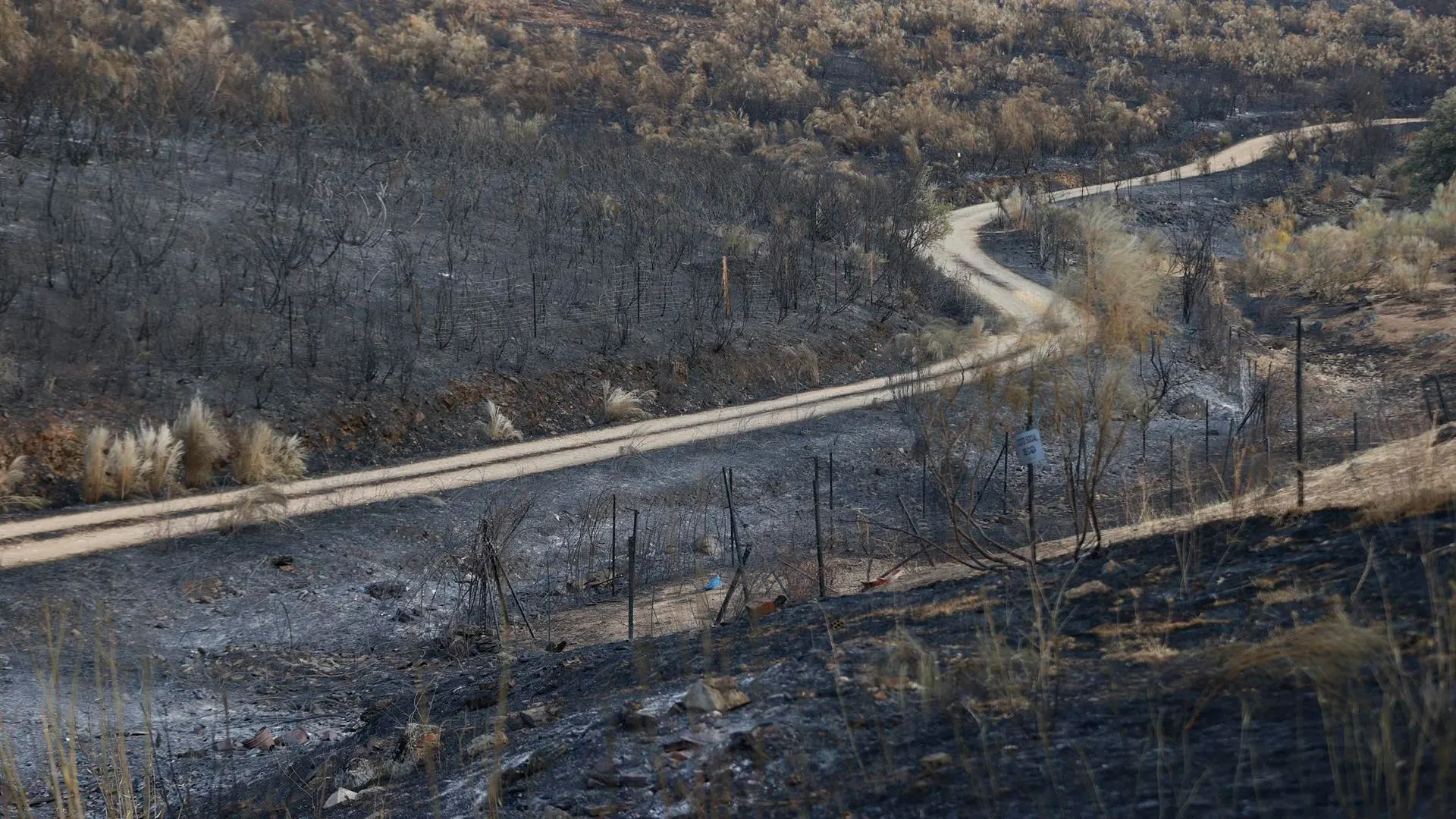 Zona arrasada por el incendio declarado en Casas de Miravete