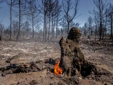 Incendio forestal Incendio forestal