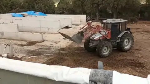 Pienso solidario para Castellón Pienso solidario para Castellón