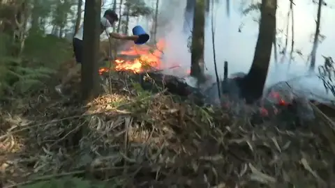 Los vecinos ayudan en las labores de extinción Incendio forestal