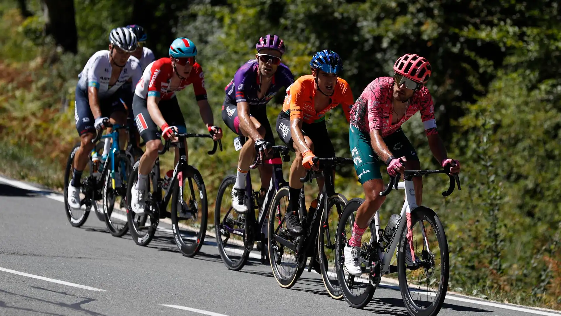 Un grupo de ciclistas durante La Vuelta España Un grupo de ciclistas durante La Vuelta España