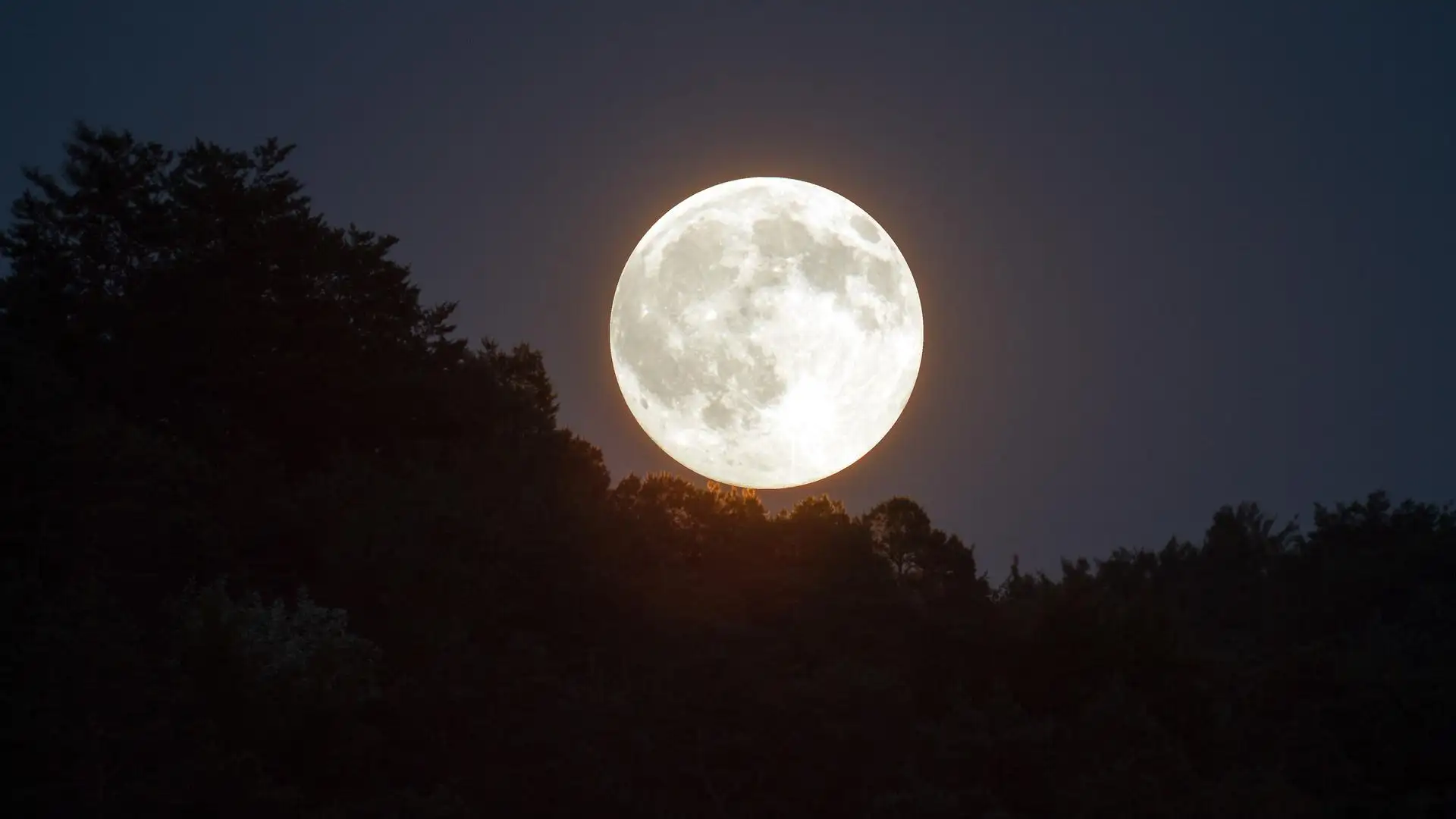 Luna llena Luna llena