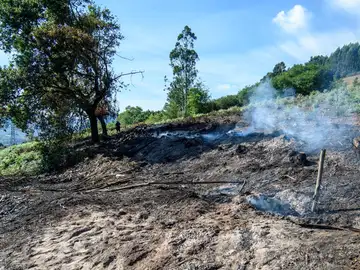Incendio forestal Incendio forestal