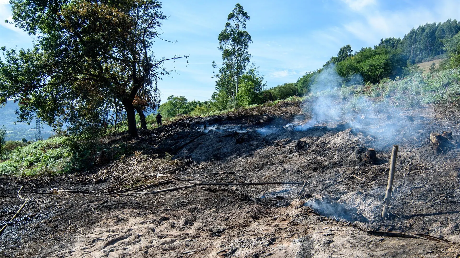 Incendio forestal Incendio forestal