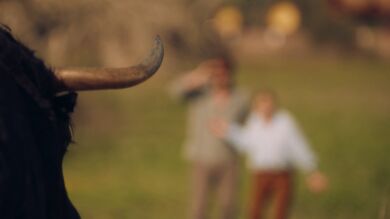 Max y Miranda en peligro: ¡Acaban subidos en un árbol porque les persigue un toro!
