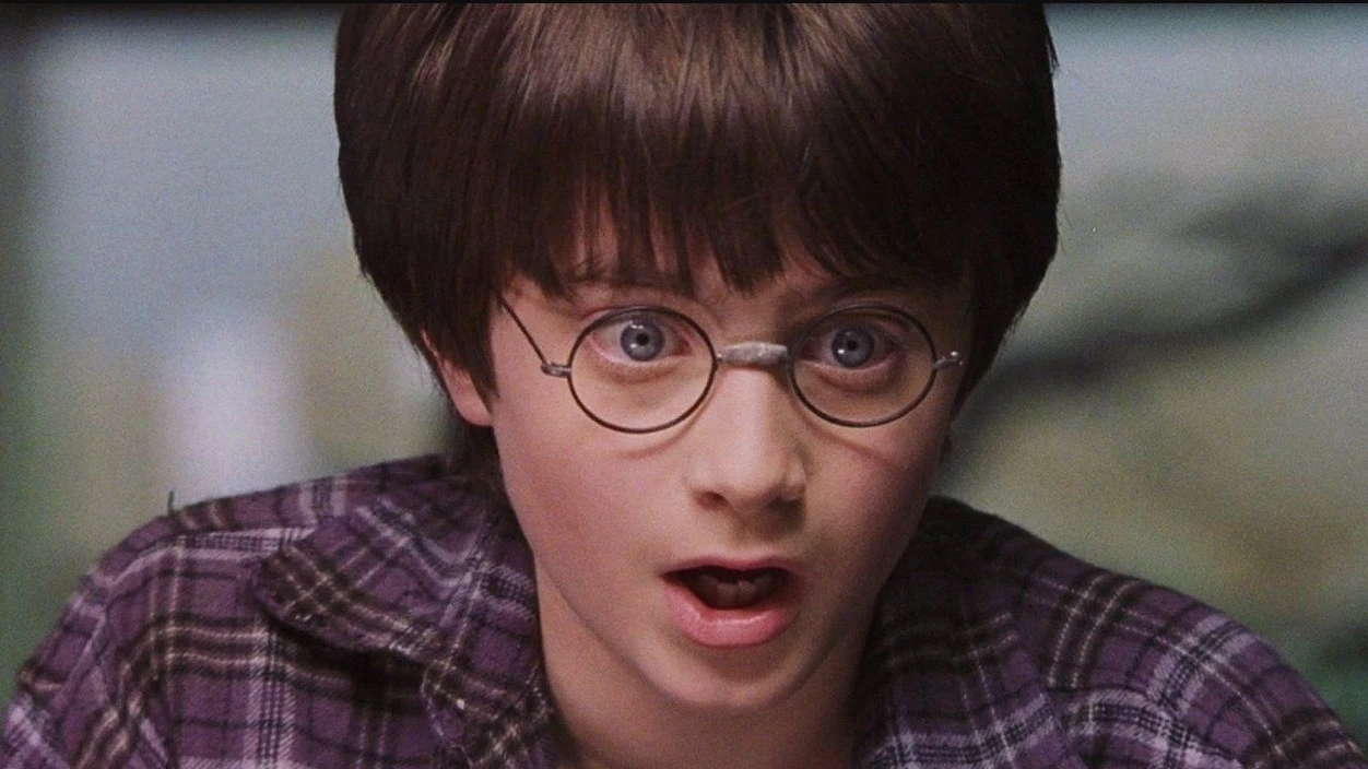 Harry Potter Harry Potter