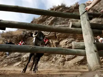 Encierro del Pilón, en Navarra Encierro del Pilón, en Navarra