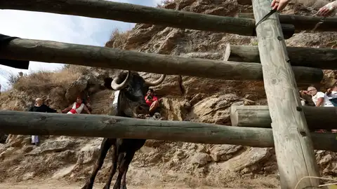 Encierro del Pilón, en Navarra Encierro del Pilón, en Navarra