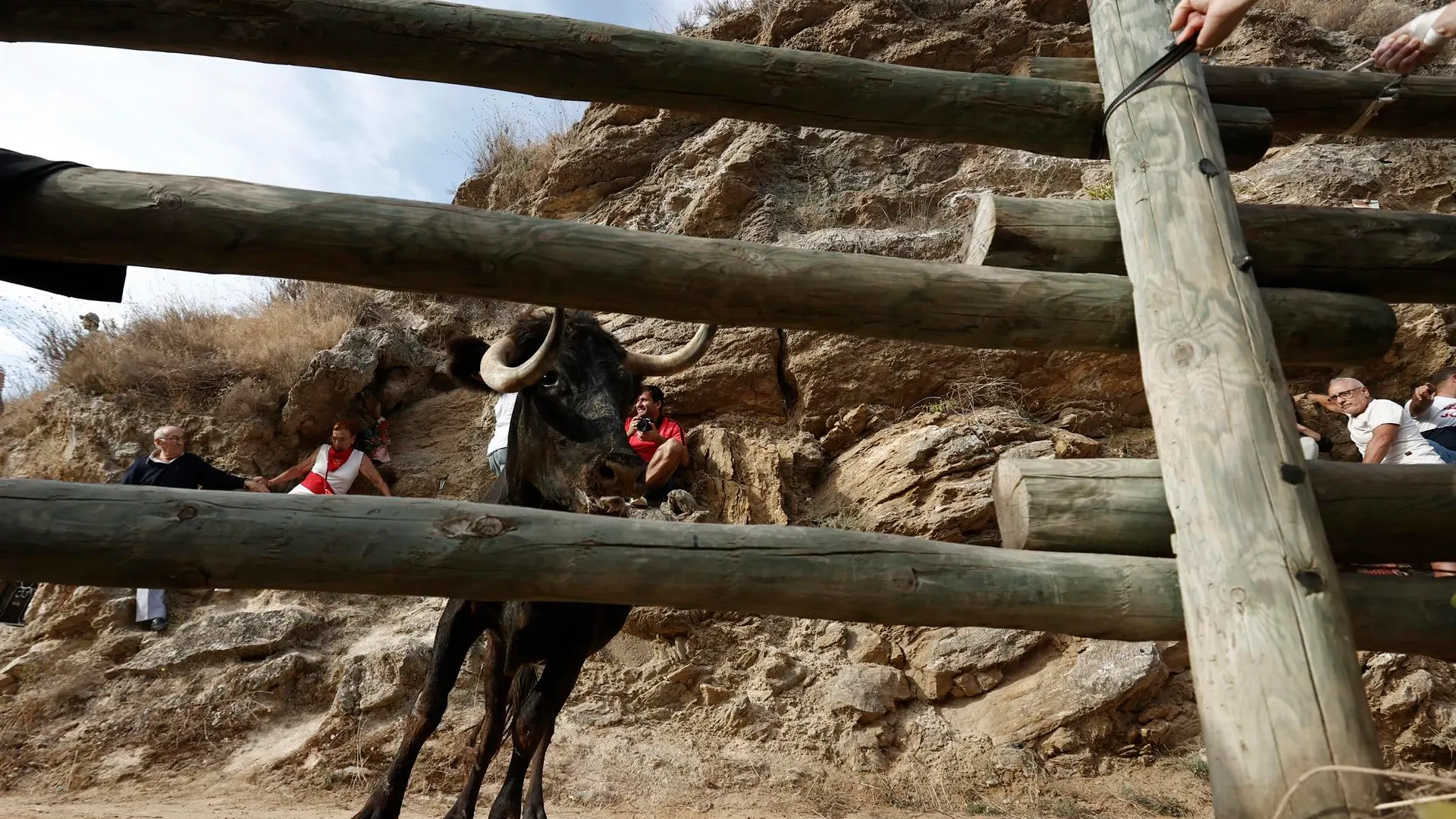 Encierro del Pil&oacute;n, en Navarra
