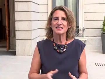 La ministra Teresa Ribera La ministra Teresa Ribera