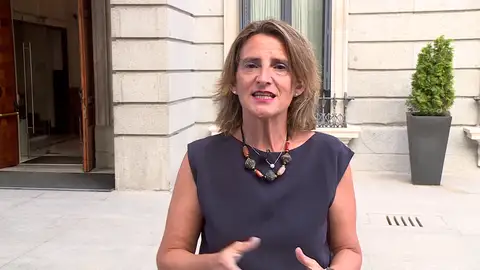 La ministra Teresa Ribera La ministra Teresa Ribera