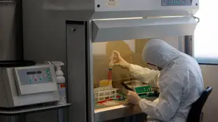 Un nuevo tratamiento evitará la quimioterapia en el cáncer de mama Un nuevo tratamiento evitará la quimioterapia en el cáncer de mama