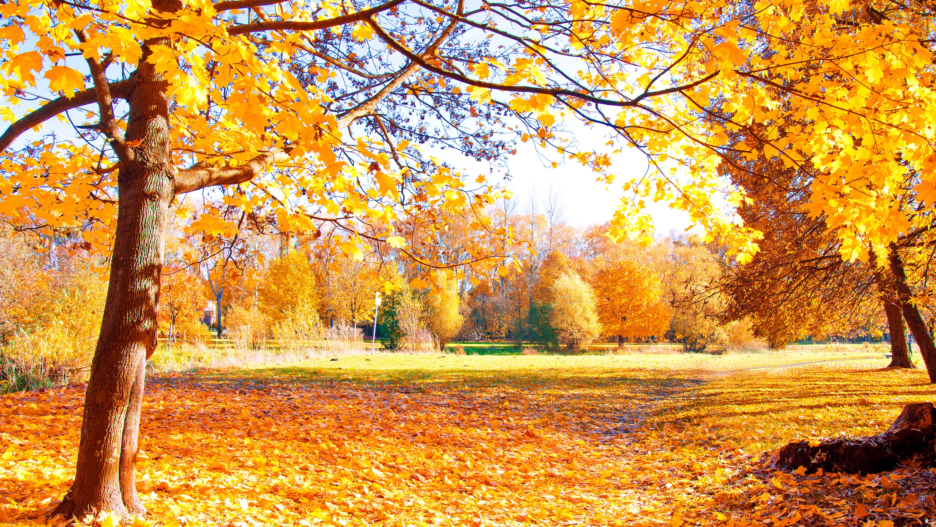 El otoño 2022 ya está aquí El otoño 2022 ya está aquí