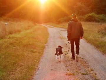 Los ladridos de su perro le salvan la vida