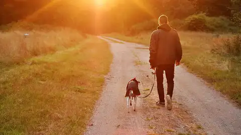 Los ladridos de su perro le salvan la vida Los ladridos de su perro le salvan la vida