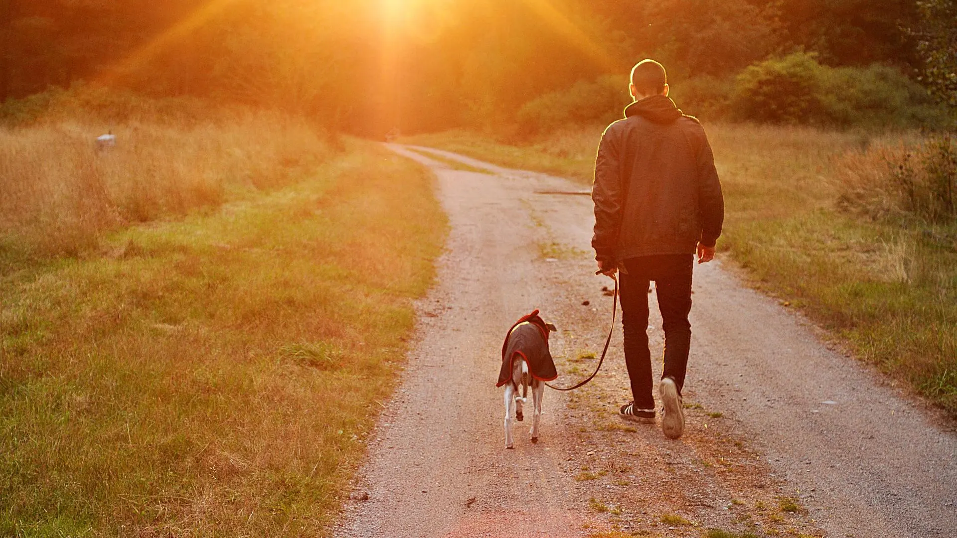 Los ladridos de su perro le salvan la vida Los ladridos de su perro le salvan la vida