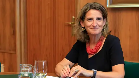 La ministra de transición ecológica Teresa Ribera La ministra de transición ecológica Teresa Ribera