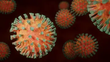 Virus Virus