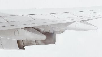 Ala y turbina de avión