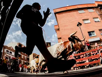 Cuarto encierro de San Sebastián de los Reyes hoy martes 30 de agosto en directo Cuarto encierro de San Sebastián de los Reyes hoy martes 30 de agosto en directo