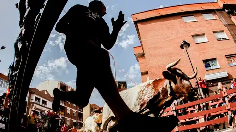 Cuarto encierro de San Sebastián de los Reyes hoy martes 30 de agosto en directo Cuarto encierro de San Sebastián de los Reyes hoy martes 30 de agosto en directo