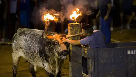 Festejos taurinos en la Comunidad Valenciana Festejos taurinos en la Comunidad Valenciana