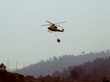 Prisión para el detenido por causar 18 incendios forestales en 15 días en Zamora