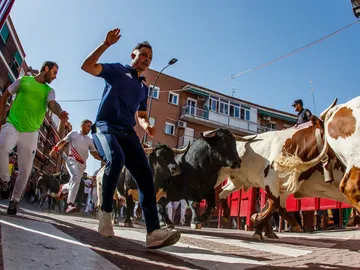 Quinto encierro de San Sebastián de los Reyes hoy miércoles 31 de agosto: Toros en directo Quinto encierro de San Sebastián de los Reyes hoy miércoles 31 de agosto: Toros en directo
