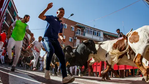 Quinto encierro de San Sebastián de los Reyes hoy miércoles 31 de agosto: Toros en directo Quinto encierro de San Sebastián de los Reyes hoy miércoles 31 de agosto: Toros en directo