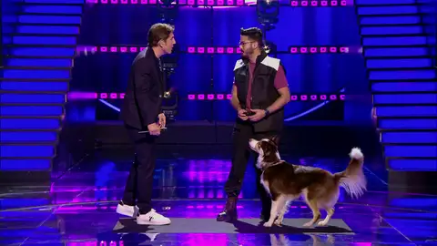 El adiestrador demuestra su talento en ‘Veo cómo cantas’… ¡con un perro y en directo! El adiestrador demuestra su talento en ‘Veo cómo cantas’… ¡con un perro y en directo!