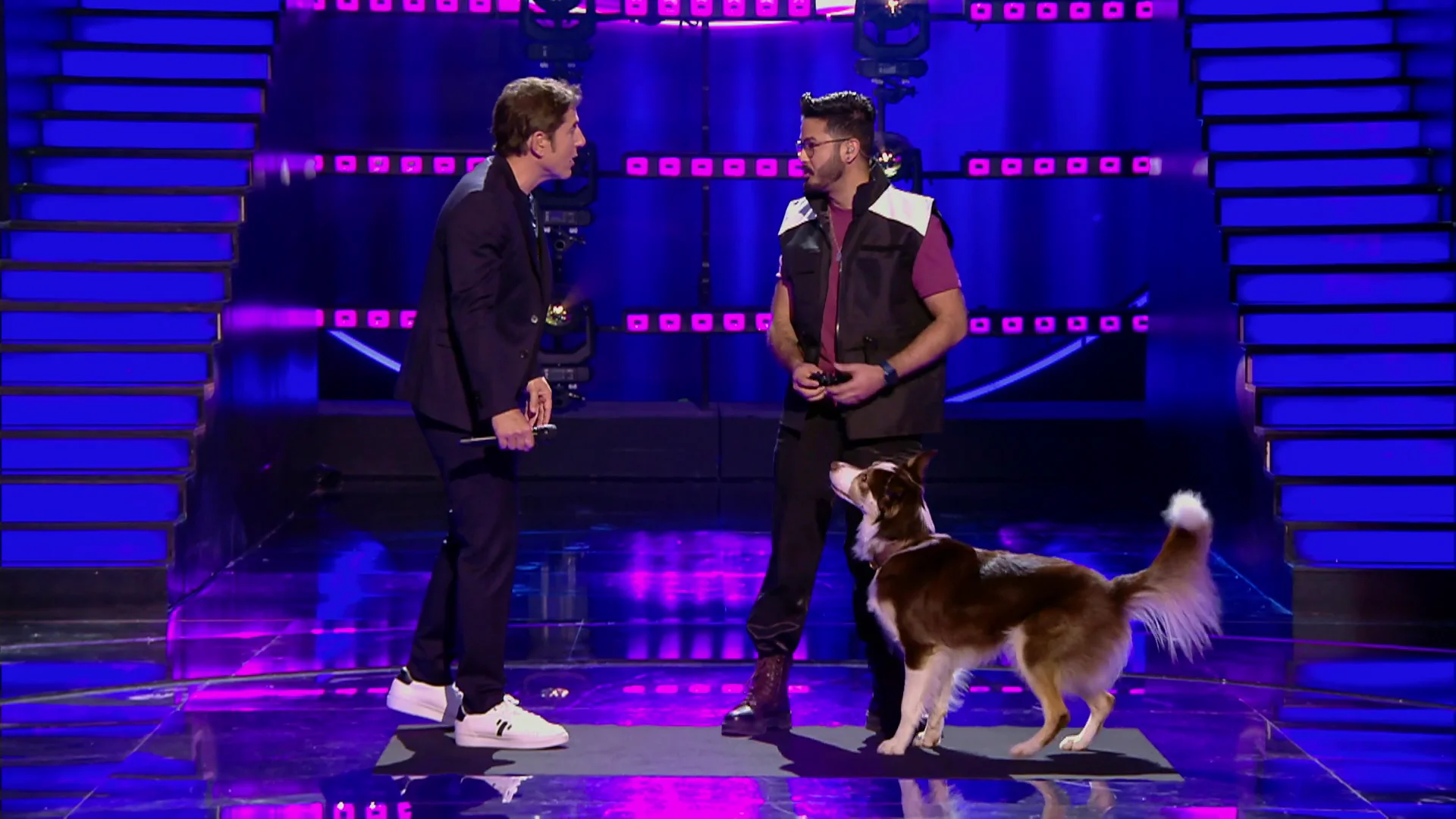 El adiestrador demuestra su talento en &lsquo;Veo c&oacute;mo cantas&rsquo;&hellip; &iexcl;con un perro y en directo! 