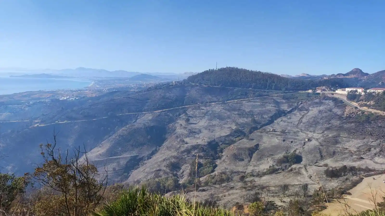 Zona afectada por el incendio forestal de Ceuta