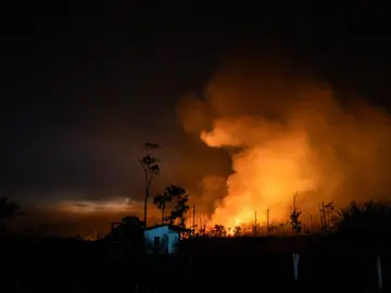 Incendio Amazonía brasil Incendio Amazonía brasil