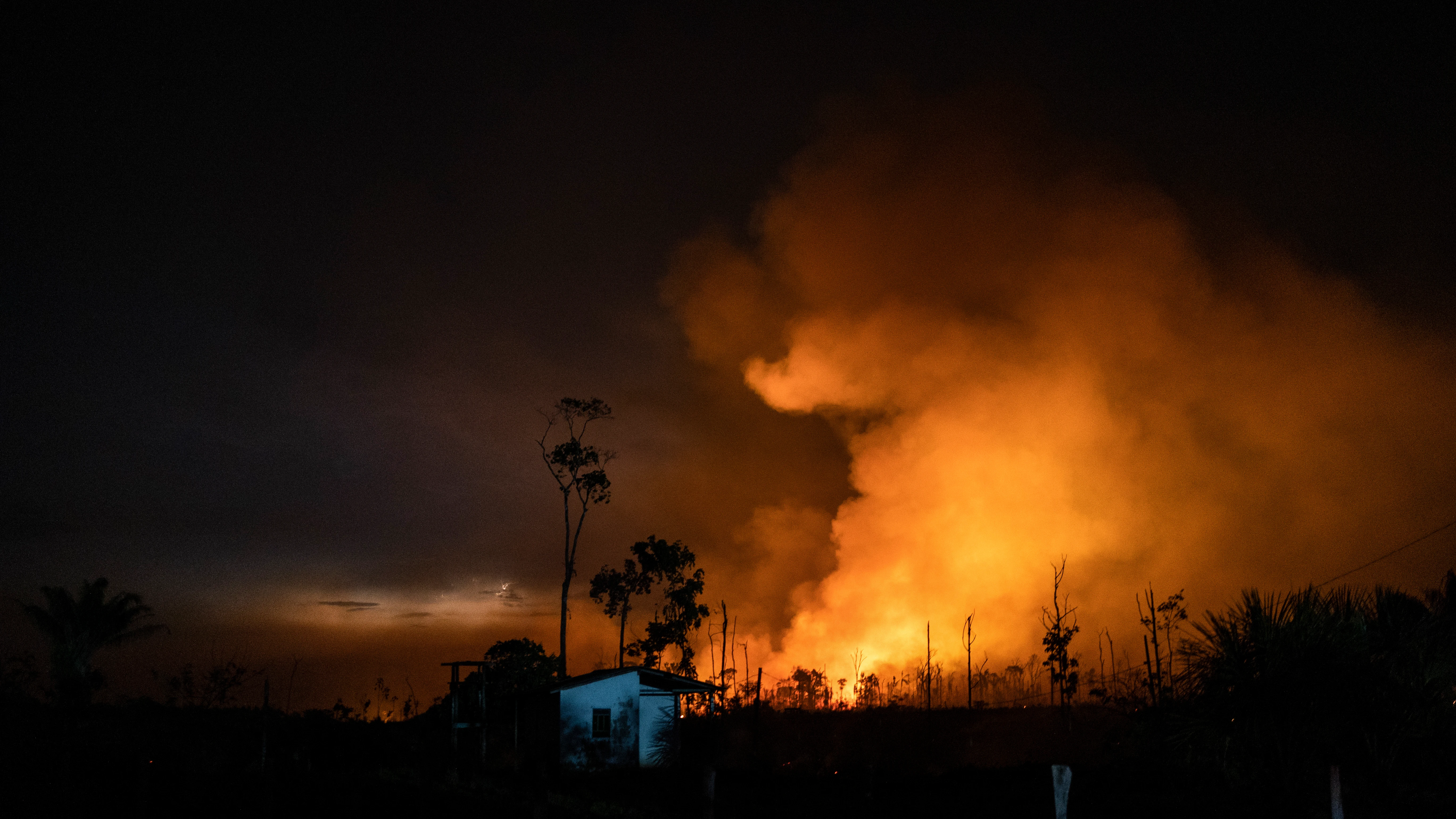 Incendio Amazonía brasil Incendio Amazonía brasil