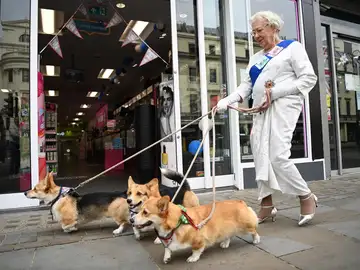 Isabel II pasea a sus perros