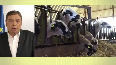 Luis Planas. Luis Planas.